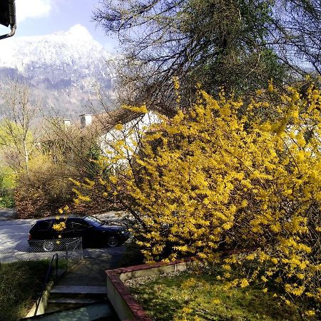 Ferienappartement Thumseestrasse Bad Reichenhall Εξωτερικό φωτογραφία